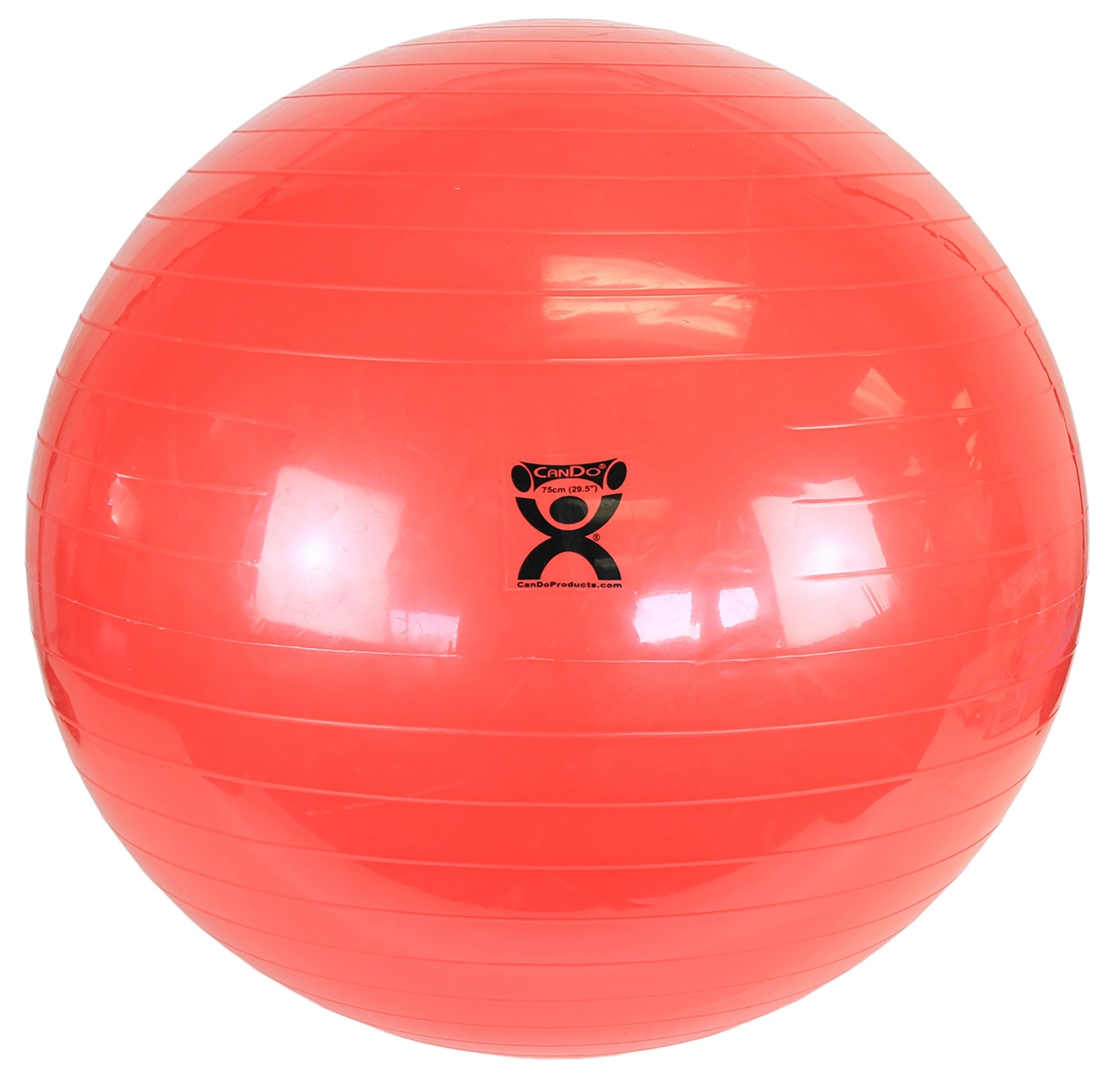Fabrication Enterprises CanDo Exercise Ball