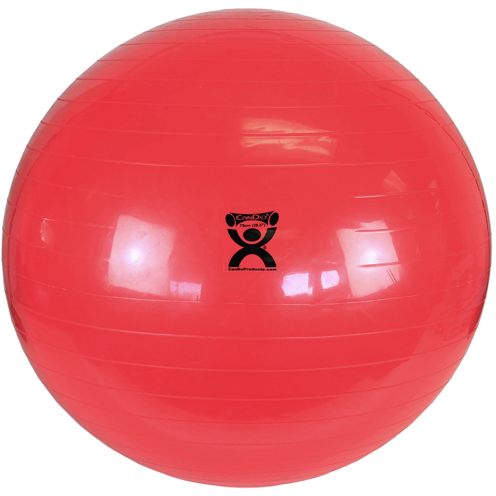 Fabrication Enterprises CanDo Exercise Ball