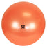 Fabrication Enterprises CanDo Exercise Ball