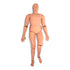 Nasco Healthcare Rescue Randy Training Mannequin