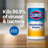Clorox Surface Disinfectant Wipes