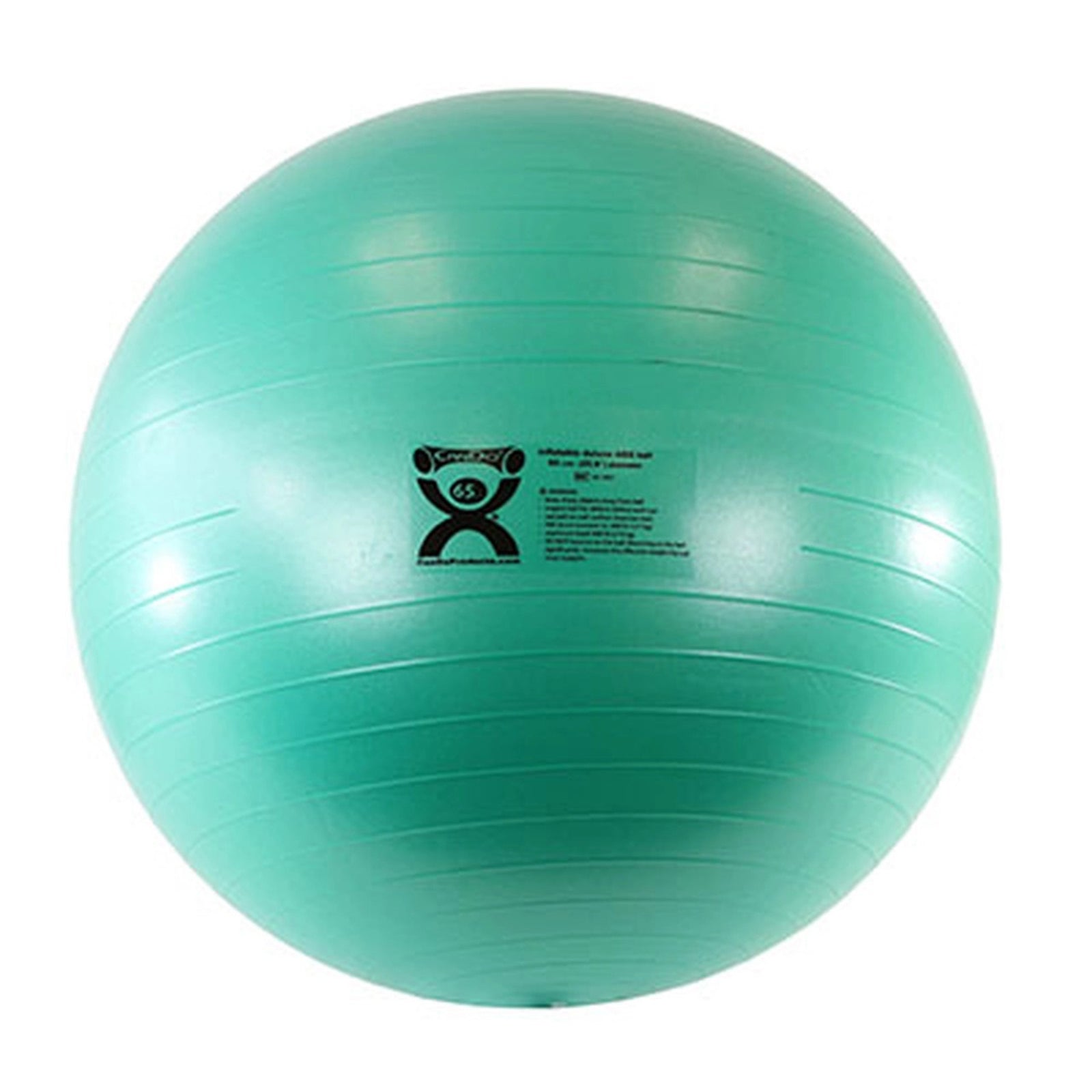 Fabrication Enterprises CanDo Exercise Ball