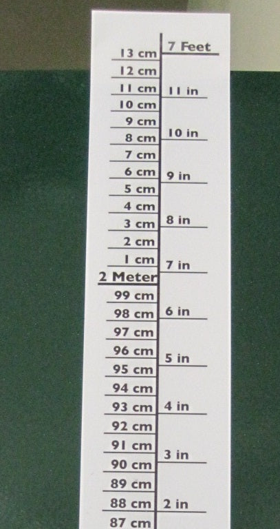 Pedia Pals 7 Foot Laminated Height Chart
