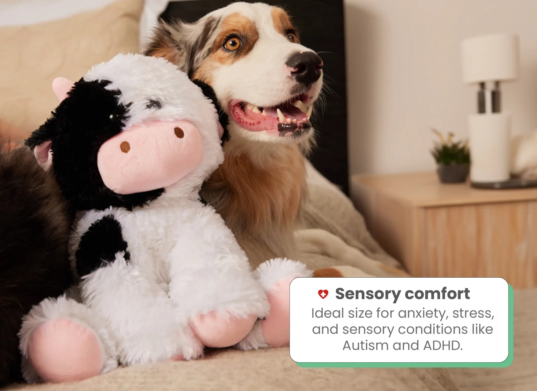 Hot And Cold Therapy Weighted Toy For Anxiety Relief by HUGZ