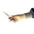 Protexis™ PI Surgical Gloves Size 8