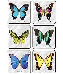 MiniBadges™ 2-1/2 Inch Foil Butterflies Sticker Roll