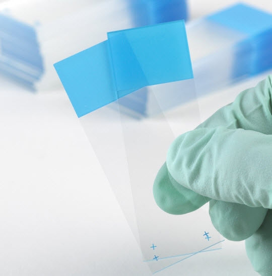 GLOBE SCIENTIFIC Charged Microscope Slide