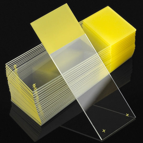Globe Scientific Charged Microscope Slides