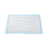 McKesson MedSurg Disposable Underpad, Light Absorbency, 17 x 24 Inch