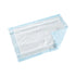McKesson MedSurg Disposable Underpad, Light Absorbency, 17 x 24 Inch