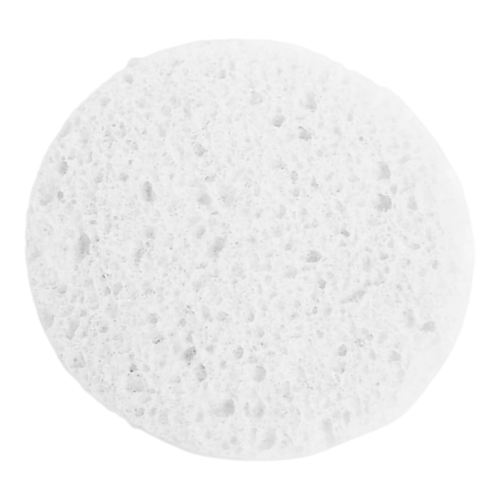 Prosana Facial Sponge 3 x 3/8 Inch