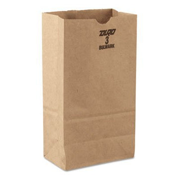 Brown Kraft Paper Grocery Bag #3