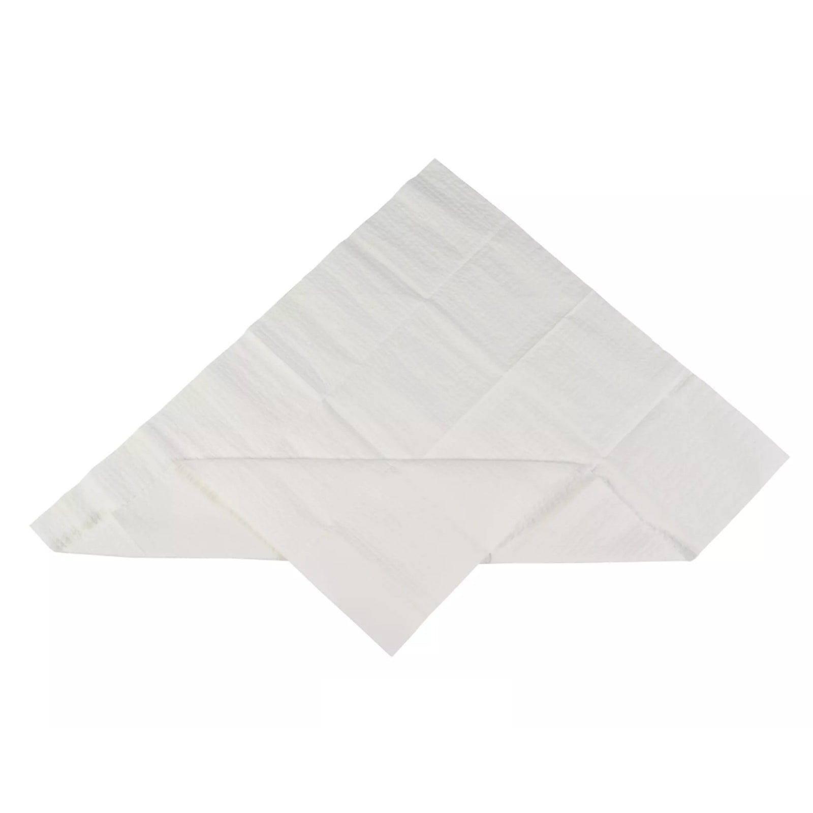 Sterilization Tray Liner 19-1/2 x 23 Inch, Absorbent