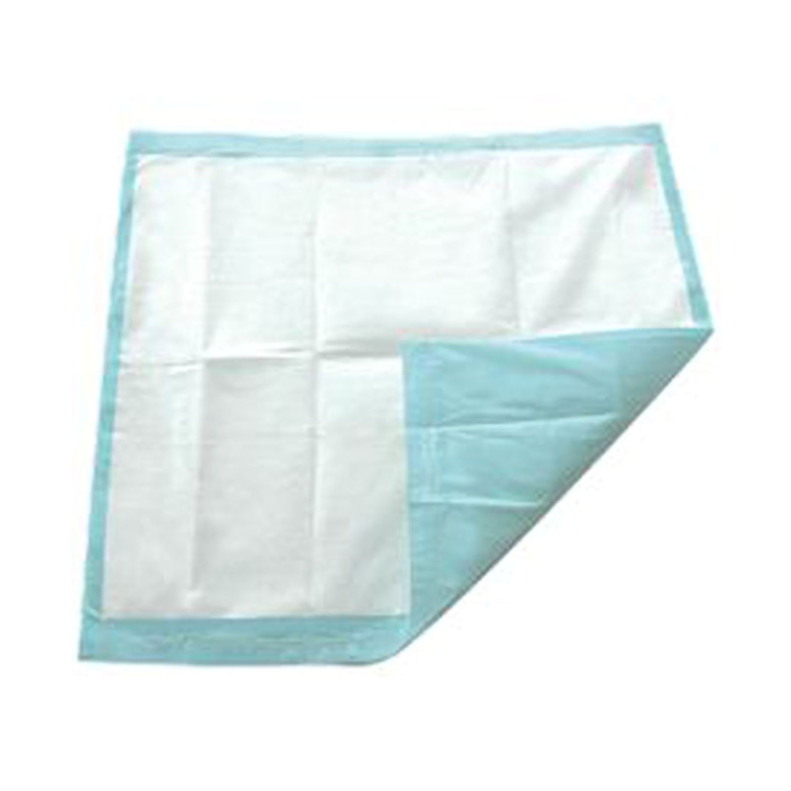 Secure Personal Embossed Heavy X+ Disposable Underpad
