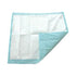 Secure Personal Embossed Heavy X+ Disposable Underpad