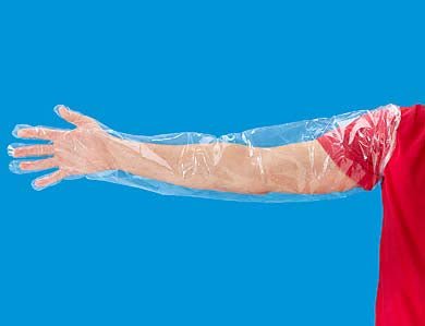 Fisher Healthcare Shoulder-Length Polyethylene Glove, 35 Inch, Clear