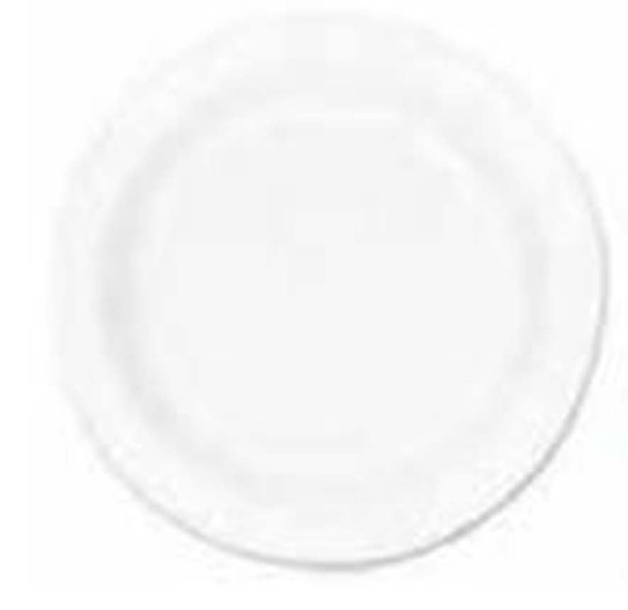 Dart Concorde Nonlaminated Foam Plates