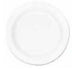 Dart Concorde Nonlaminated Foam Plates