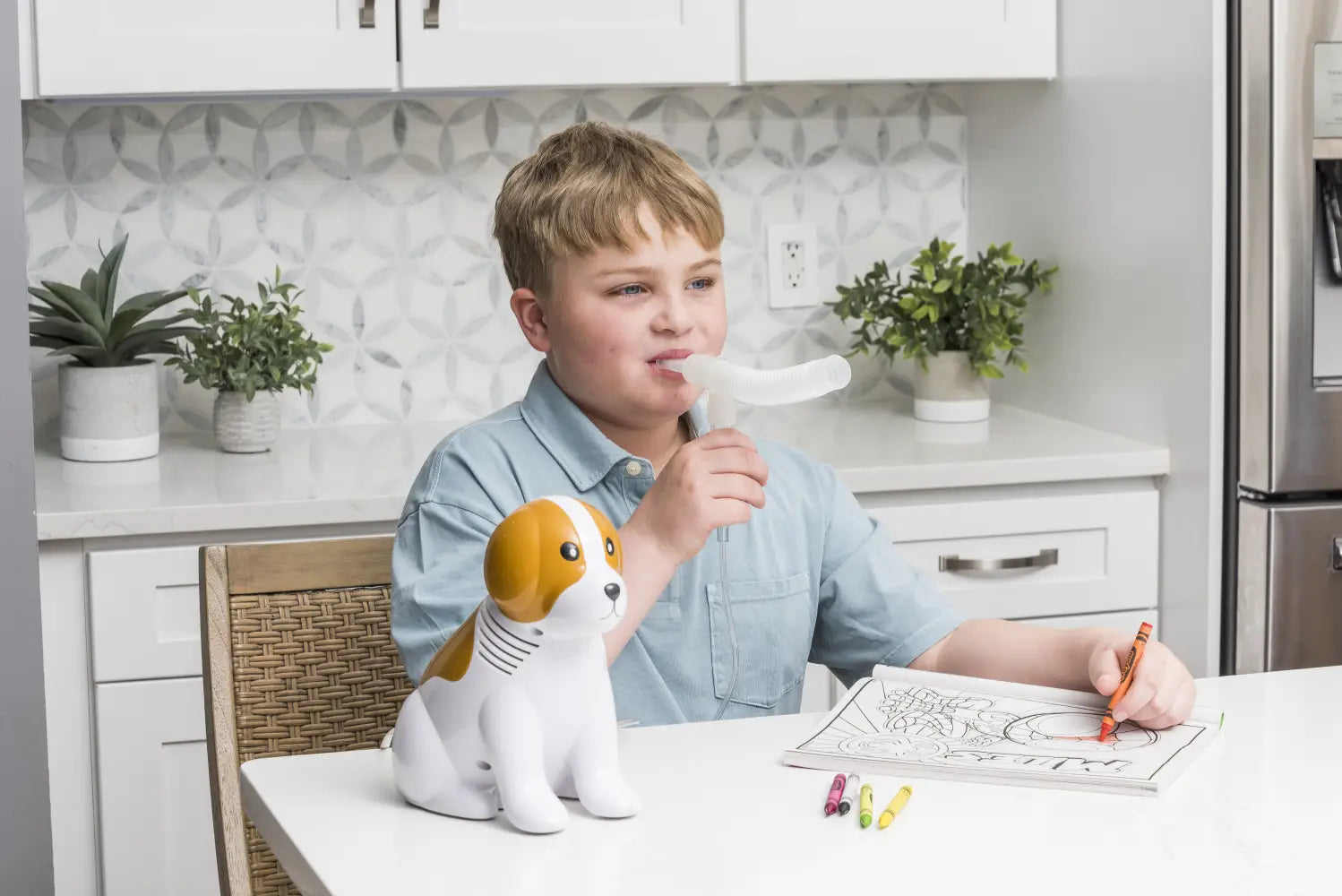 Drive Medical Beagle Nebulizer with Reusable & Disposable Neb Kit