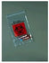 Biohazard ZipLock Bag, 9" x 12"