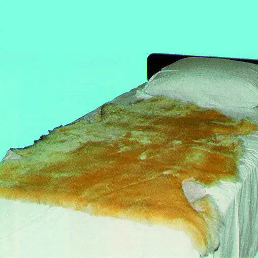 Sheepskin Ranch Sofsheep Sheepskin Pad 3 ft. x 2.5 ft. Beige