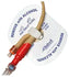 Bard StatLock Foley Stabilization Device (Latex-Free, Sterile)