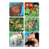 Kids Love Stickers: 90pc Assorted Baby Animal, Peppa Pig, Disney Cars, Disney Princesses, Toy Story, Fantasy Unicorns