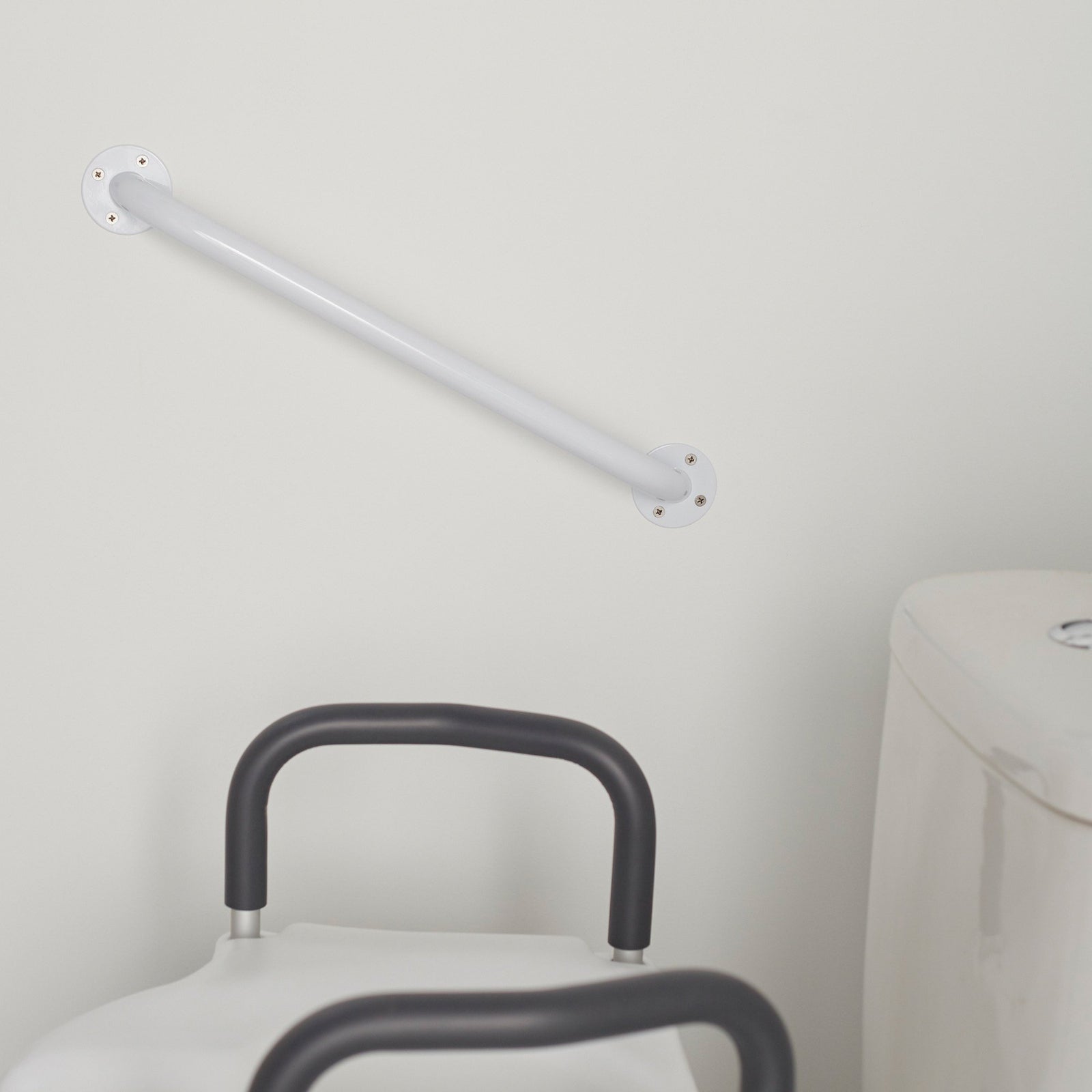 McKesson Wall Grab Bar