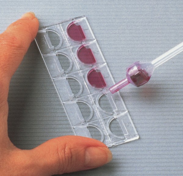 Kova Glasstic Slide 10 Urinalysis Microscope Slide