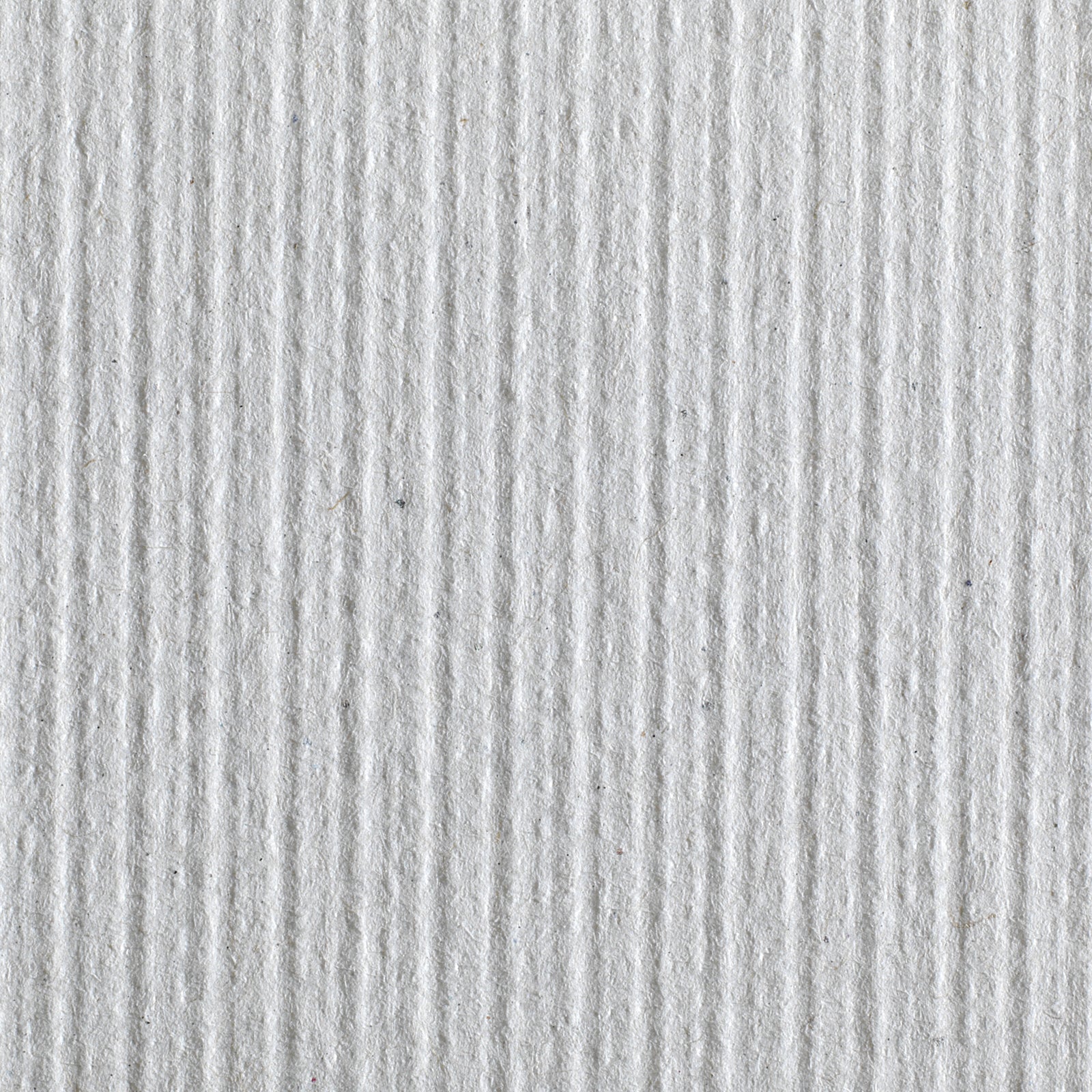 Pacific Blue Basic Paper Towel