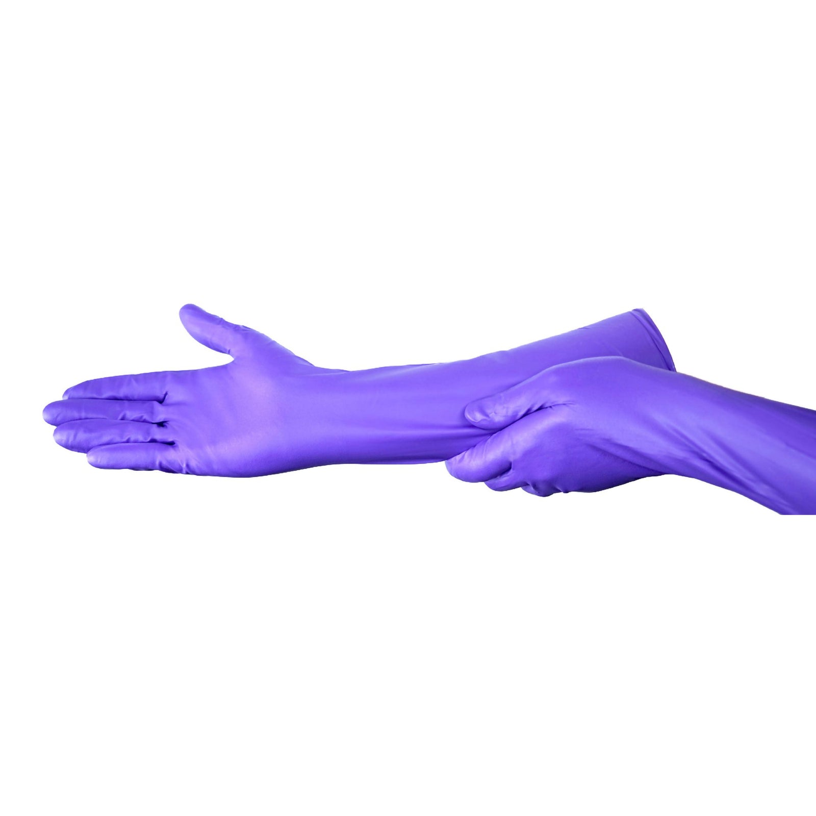 Purple Nitrile Max Exam Glove