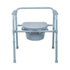 McKesson Commode Chair