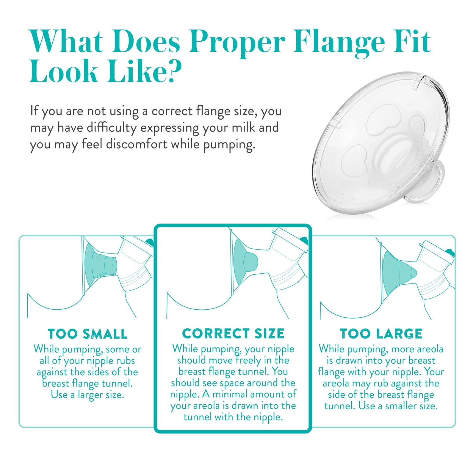 Evenflo AdvancedFit Flange System