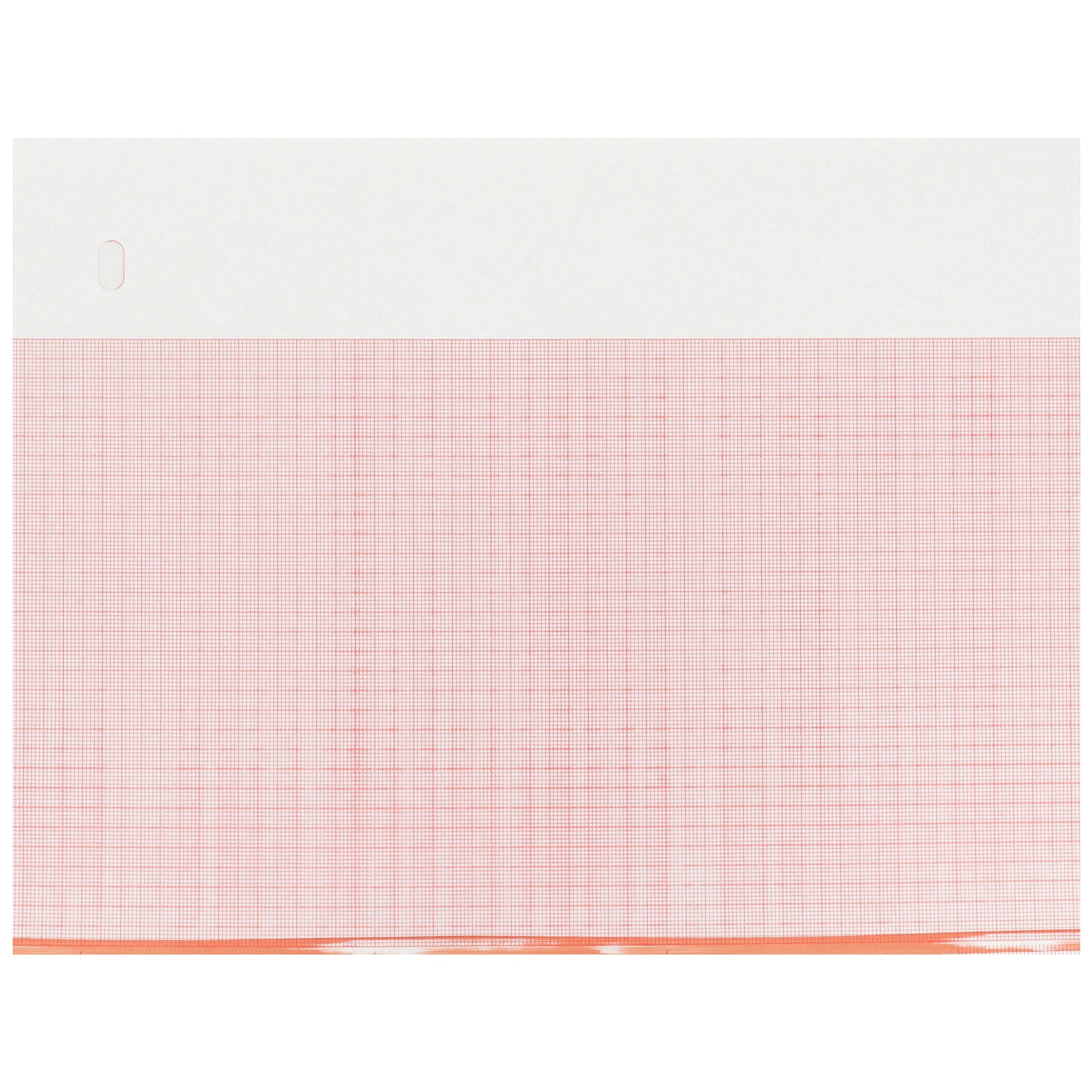 McKesson ECG Recording Paper