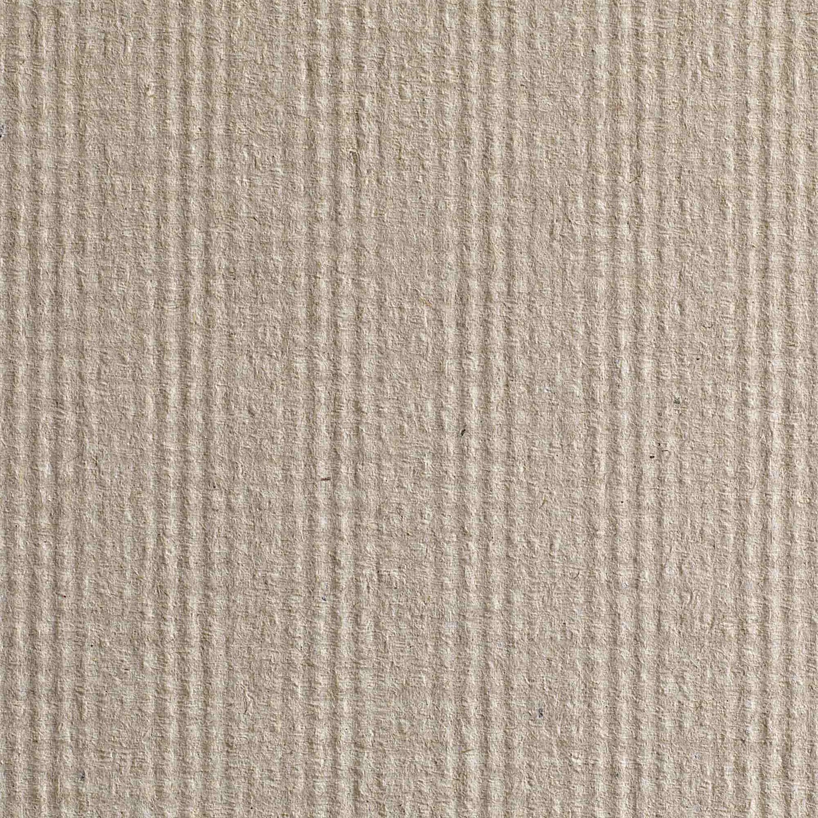 Pacific Blue Basic Paper Towel