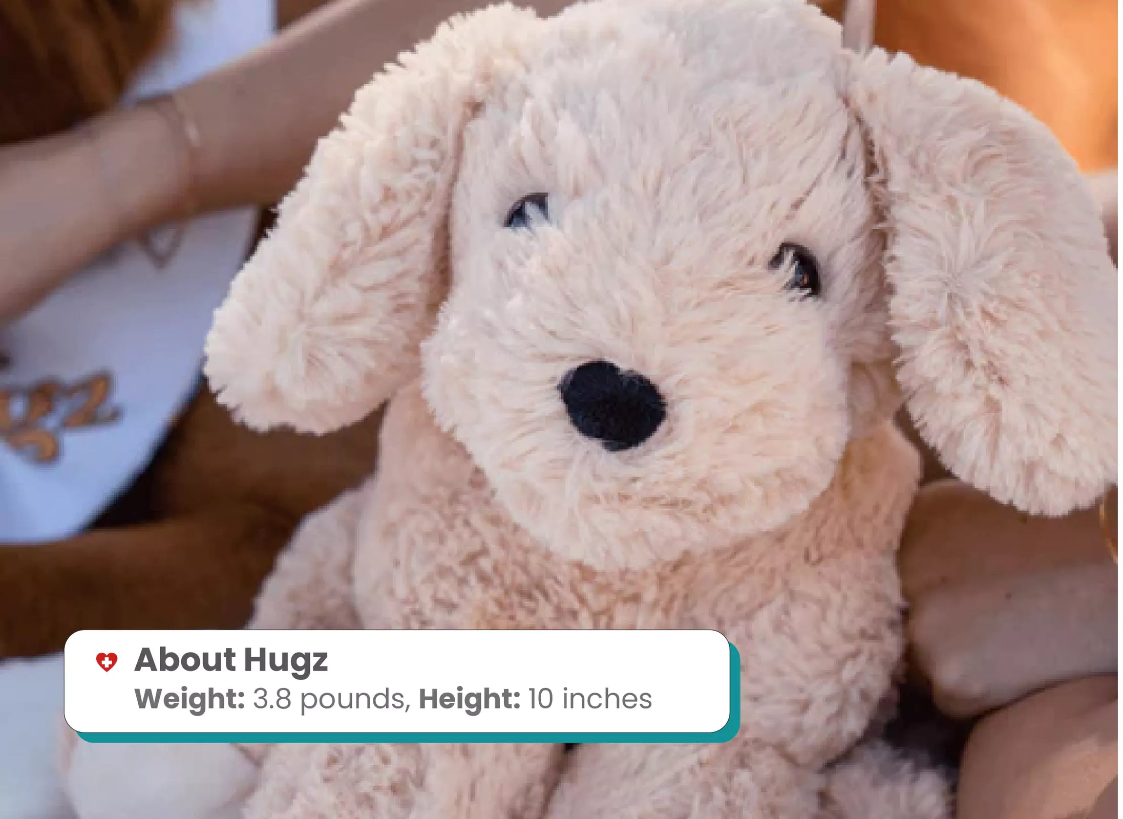 Hot And Cold Therapy Weighted Toy For Anxiety Relief by HUGZ
