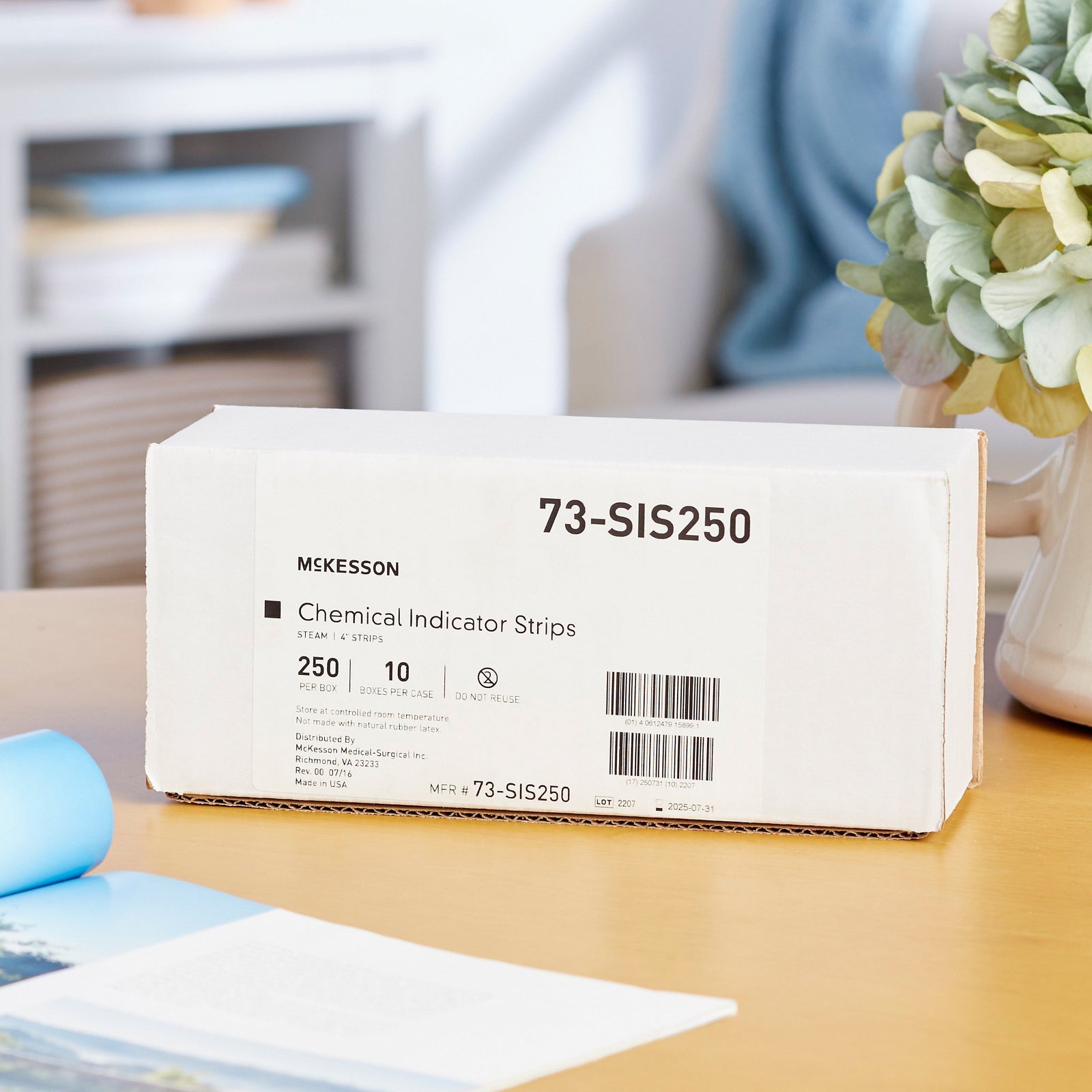 McKesson Sterilization Chemical Indicator Strip