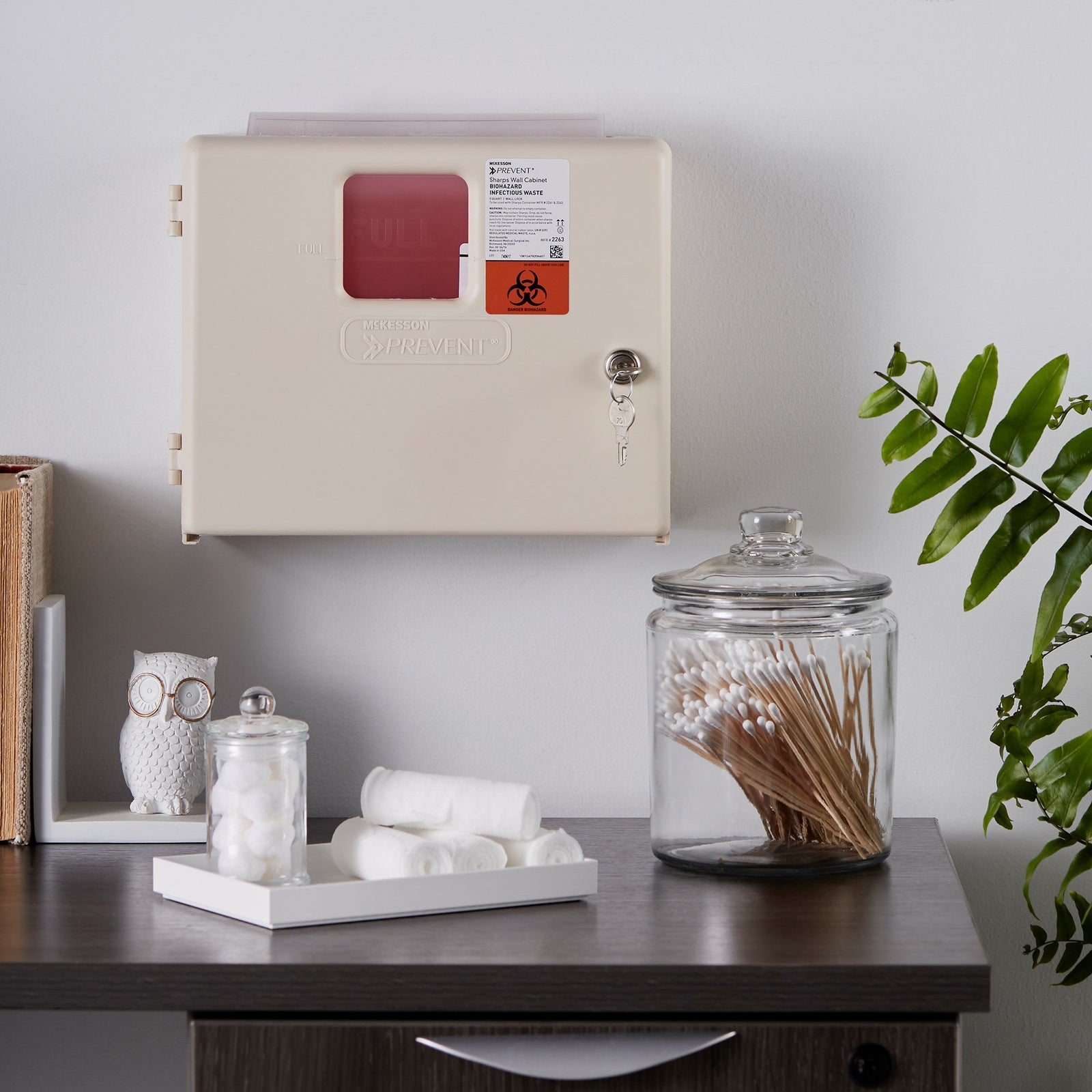 McKesson Prevent Sharps Container Cabinet / Wall Enclosure