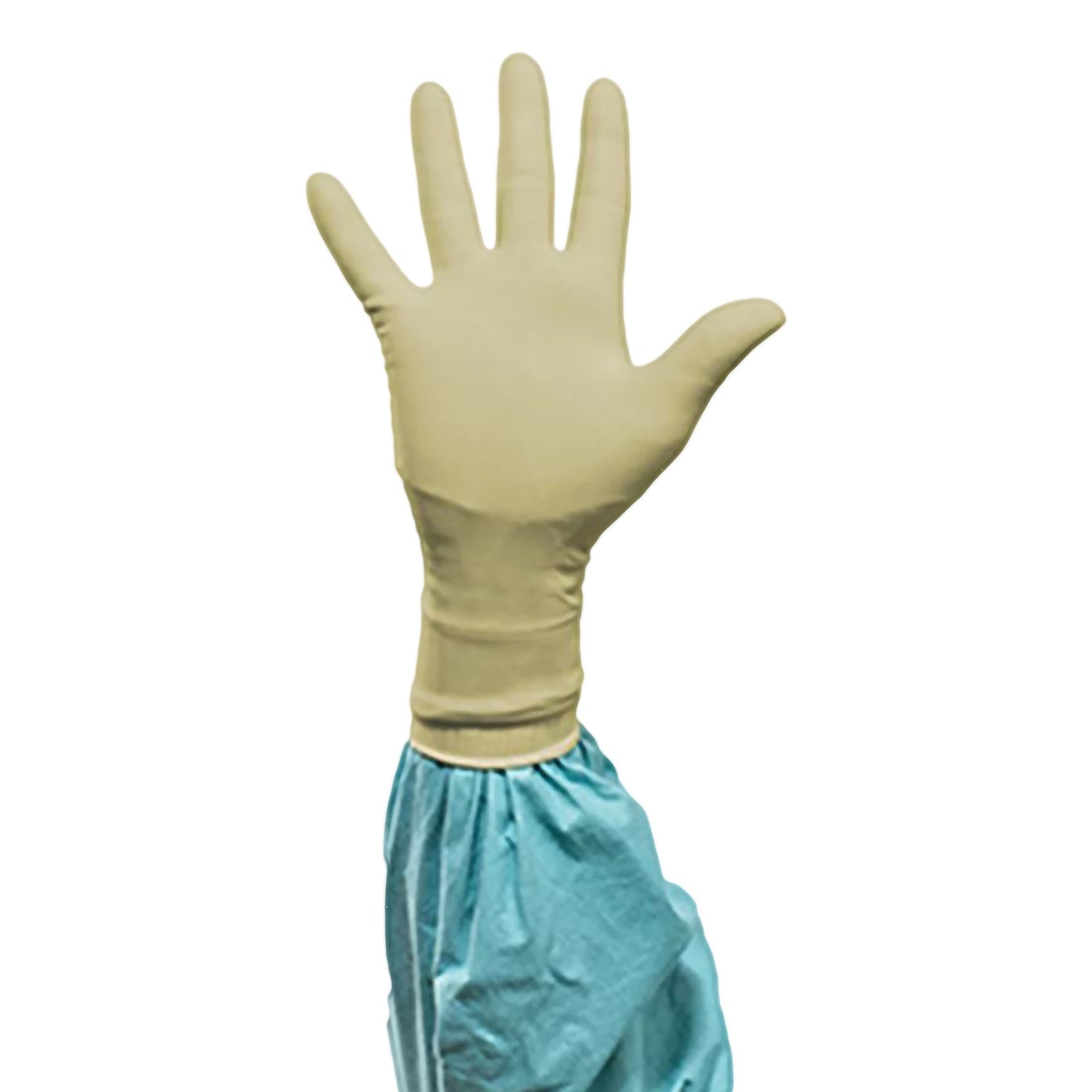 Biogel PI Surgical Glove