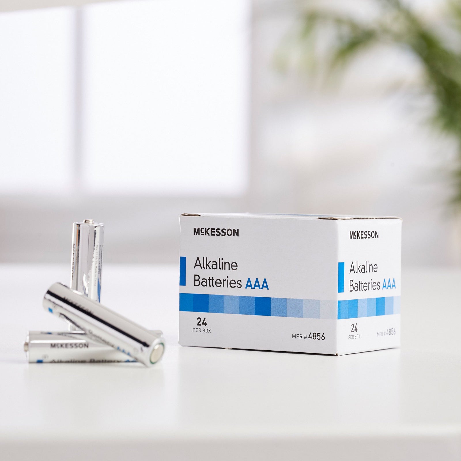 McKesson Alkaline Battery