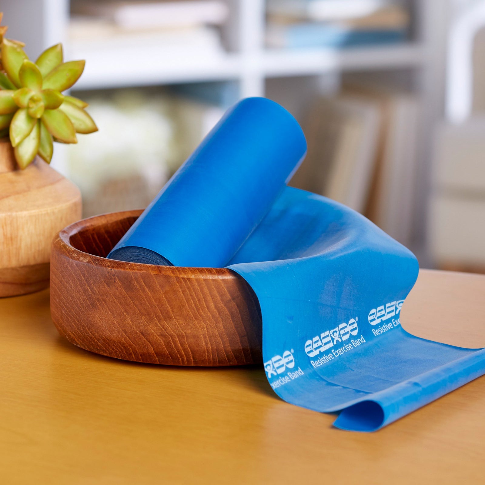 McKesson CanDo Exercise Resistance Band