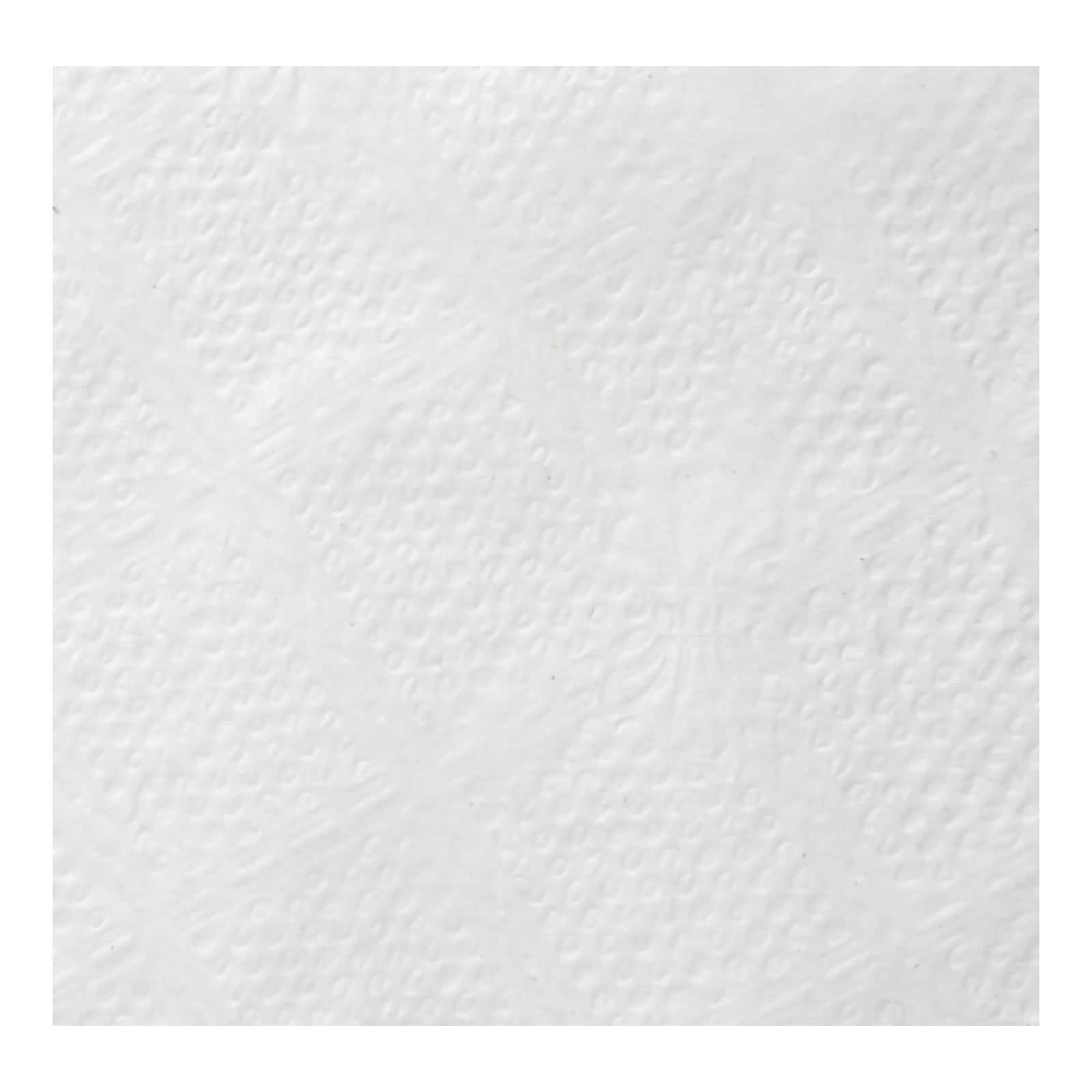 Acclaim Luncheon Napkin
