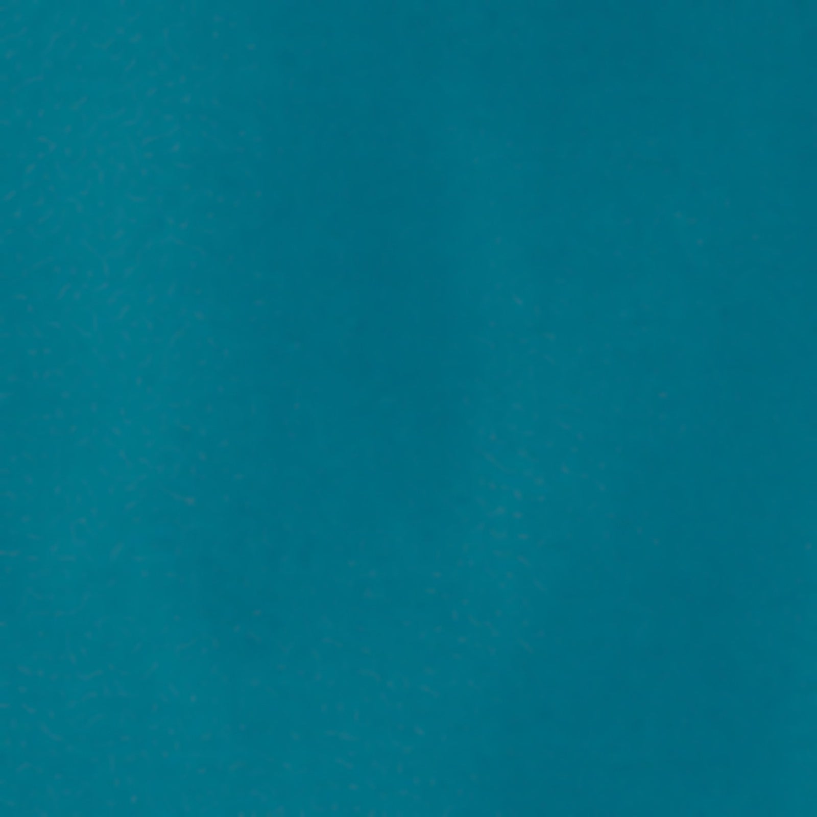 Silverts Shower Cape With Hood