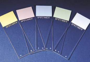 Superfrost Plus Charged Microscope Slide