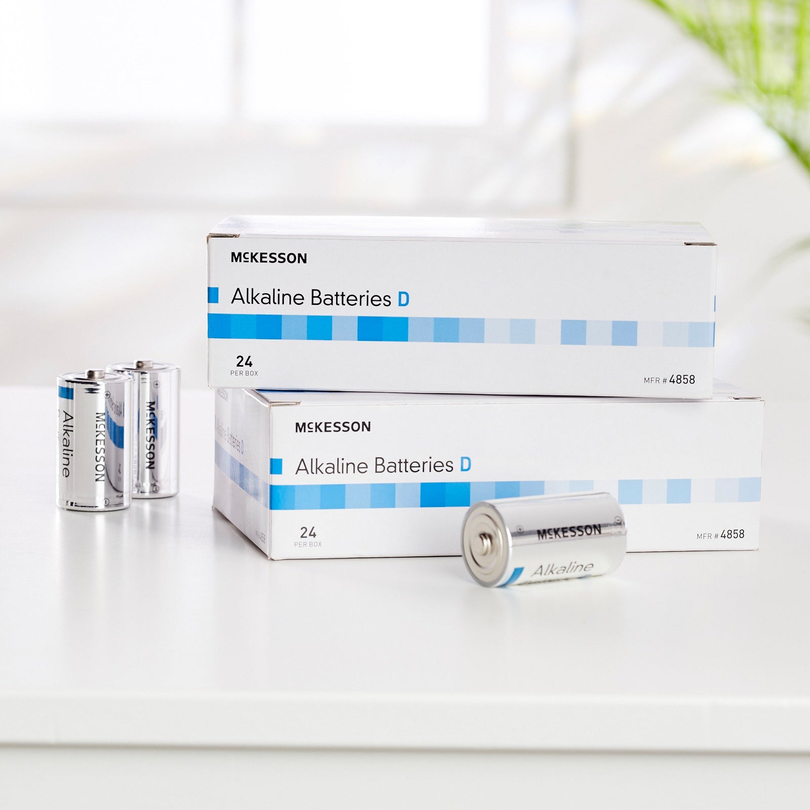 McKesson Alkaline Battery