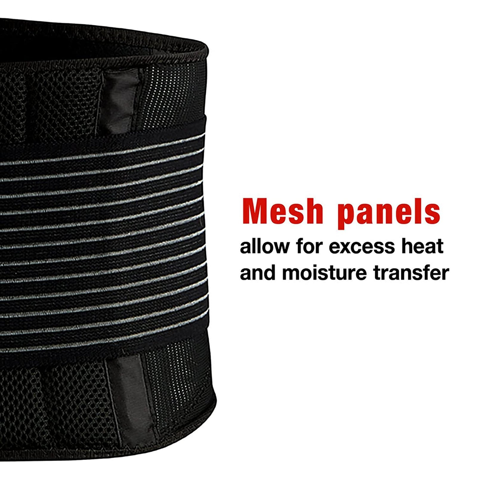 3M Ace Back Brace, Adult, One Size Fits Most