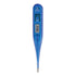 Veridian Digital Thermometer Display Kit