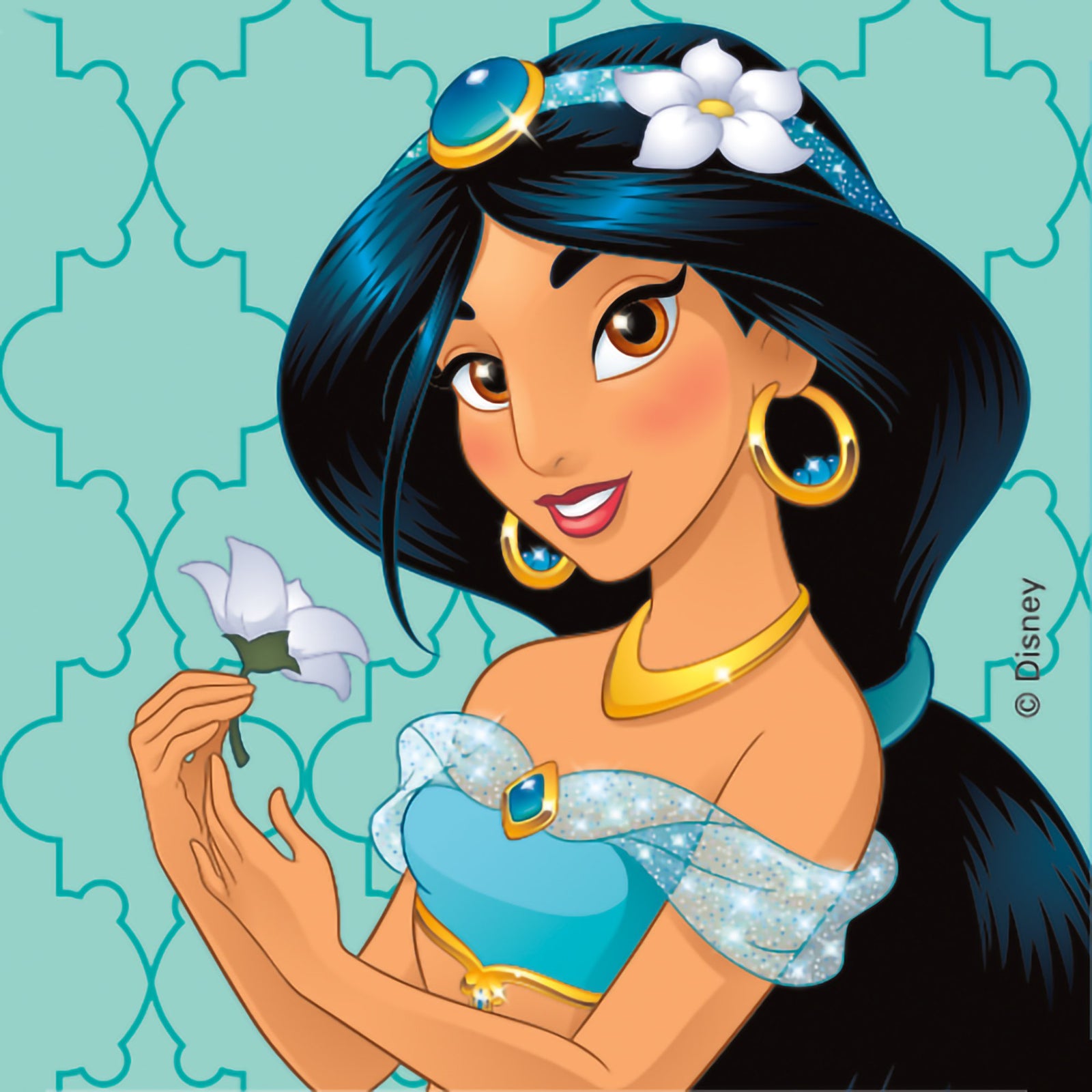 Medibadge Disney Princesses Stickers