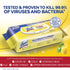 Lysol Premoistened Surface Disinfectant Wipes