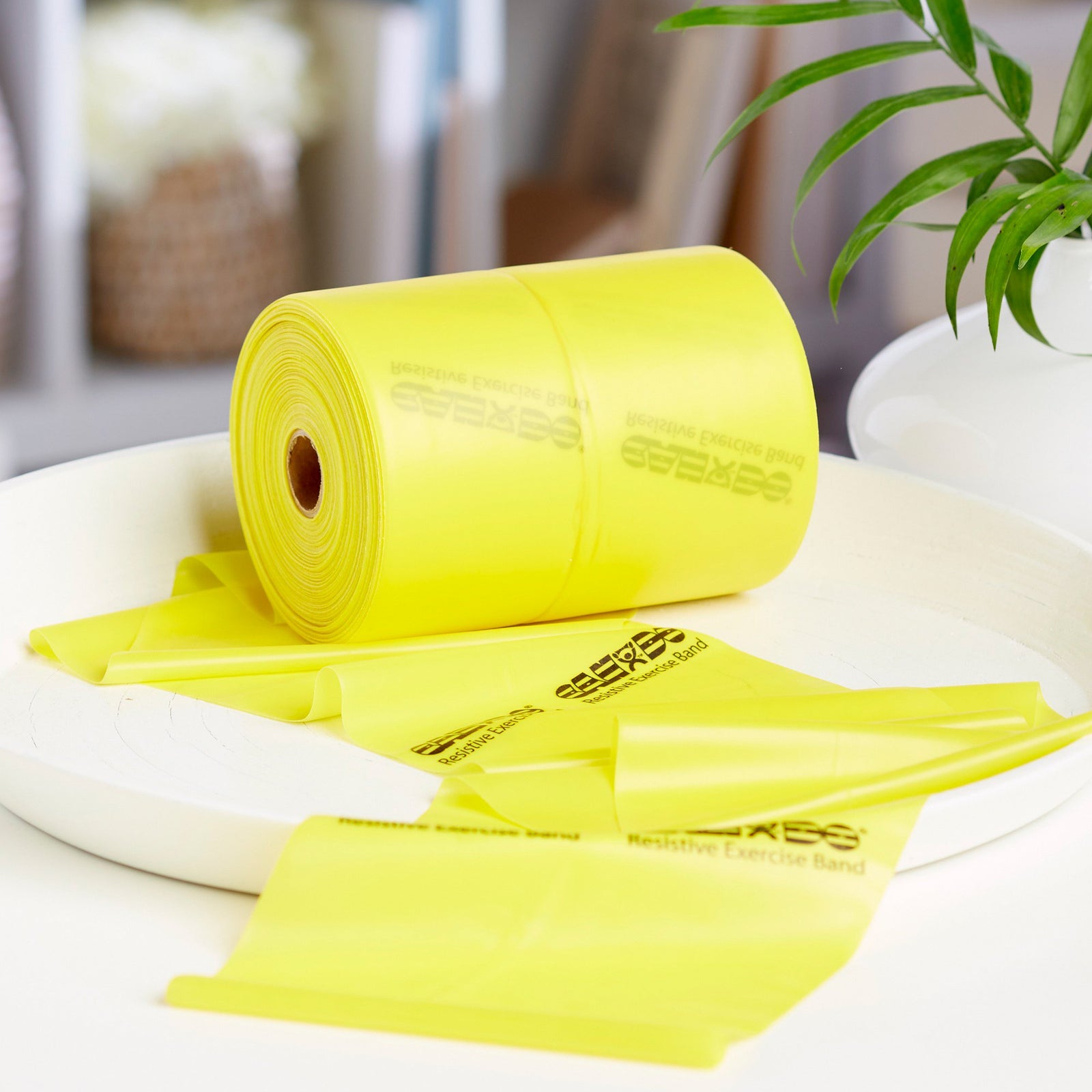 McKesson CanDo Exercise Resistance Band